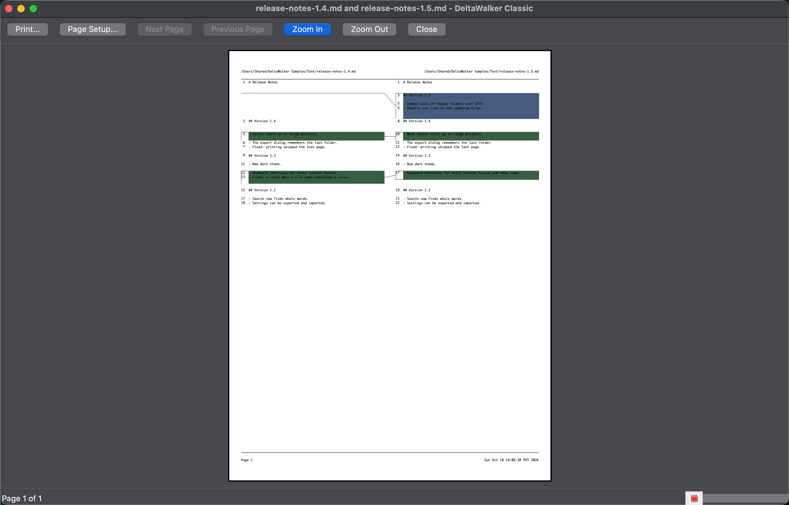 Print Preview window